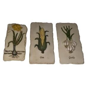 Botanical Wall Plaques Set of 3 Garlic Corn Narcissus One Neolin New York Cook